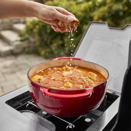 Weber® Summit® Smart Gas Grill ss (15)